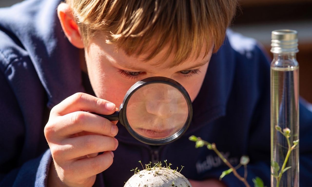 Building scientific thinking skills in the primary years